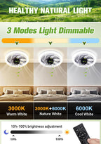 💥2026 HOT SALE 50% OFF💥  2-in-1 Mute Adjustable Fan Light with Remote Control