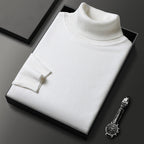 🔥HOT SALE-50% OFF ✨Men's Solid Color Premium Turtleneck Sweater