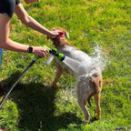 🔥Hot Sale 50% OFF🔥The Original Pup Jet