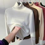 🔥Hot Sale Deals🎁Winter fleece thick knitted bottoming shirt