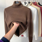 🔥Hot Sale Deals🎁Winter fleece thick knitted bottoming shirt