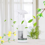 Mildew Removal Spray for Walls